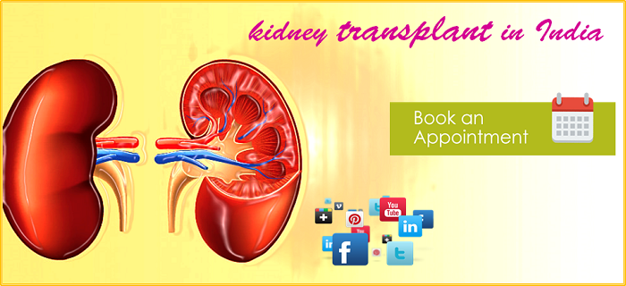 Get Comprehensive Kidney Transplant Care for Life from One of The Top Country in The World- India