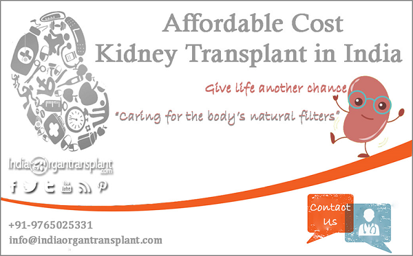 Caring for the body’s natural filters- the kidneys Affordably